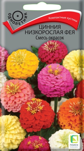 cinnia_nizkorosl_feya_smes_okrasok