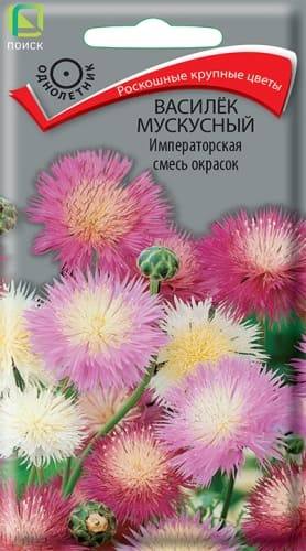 vasilek_muscus_imperatorskaya_smes_okrasok (1)