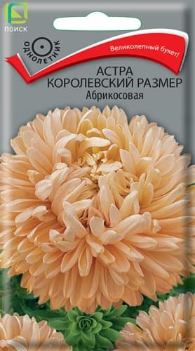 astra_korolevsky_razmer_abrikosovaya (1)