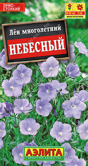 ллл (1)