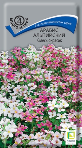 arabis_alpiysky_smes_okrasok