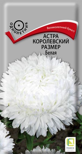 astra_korolevsky_razmer_belaya