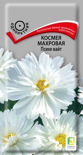 kosmeya_mahrovaya_psihe_white