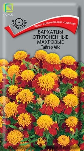 barhatsy_otklon_mahrov_tiger_ice (1) (1)