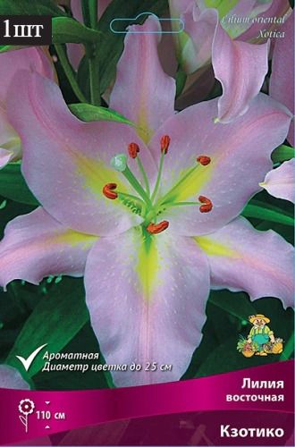 image (4)