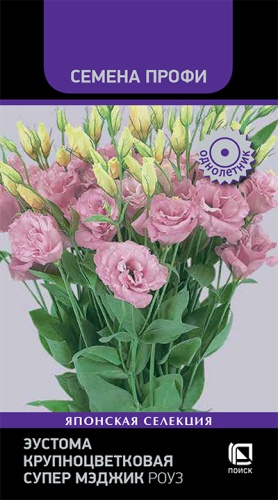 eustoma_krupnotsvetkovaya_super_medzhik_rouz