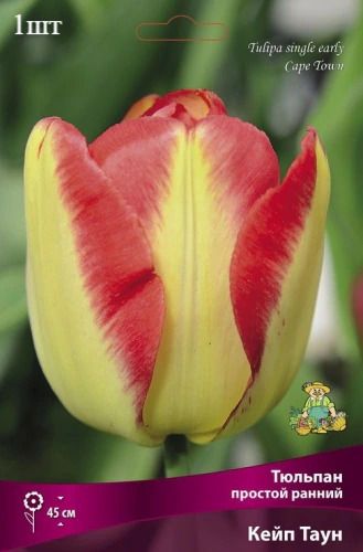 image (60)