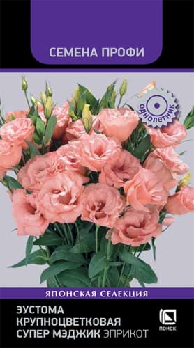 eustoma_krupnotsvetkovaya_super_medzhik_eprikot (1)