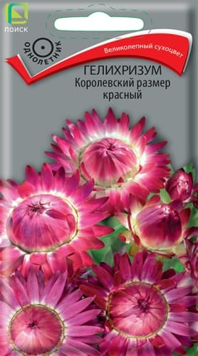 gelihrizum_korolevskiy_razmer_krasny (1)