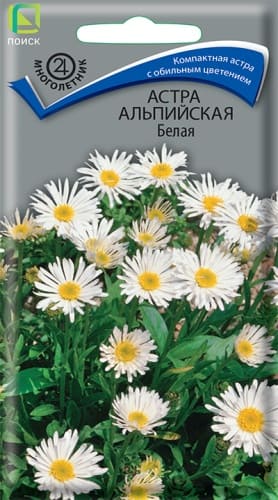 astra_alp_belaya (1)
