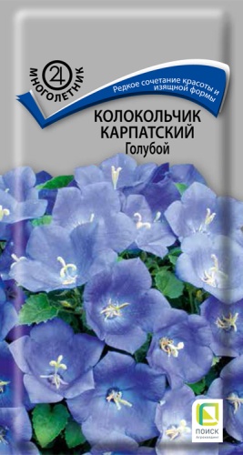 kolokolchik_karpat_goluboi