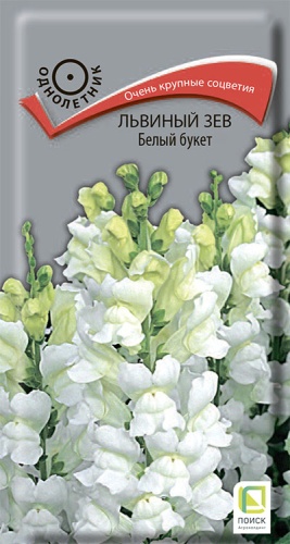 lviny_zev_bely_buket