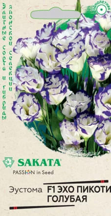 Эустома Эхо пикоти голубая