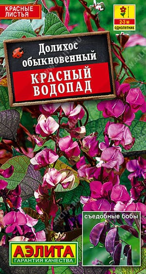 ппапа (1) (1)