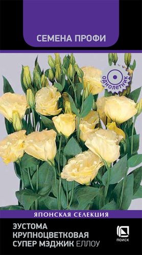eustoma_krupnotsvetkovaya_super_medzhik_ellou