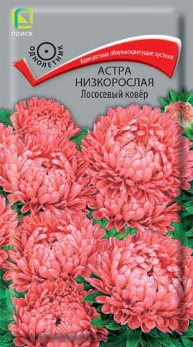 astra_nizkoroslaya_lososevy_kover (1) (1)