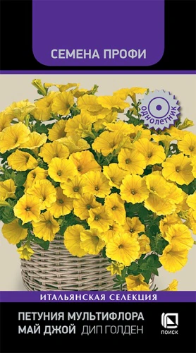 petuniya_multiflora_may_dzhoy_dip_golden