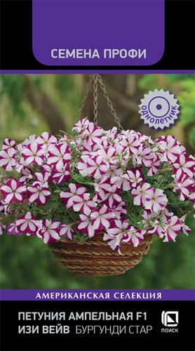 petunia_ampel_f1_easy_wave_burgundi_star