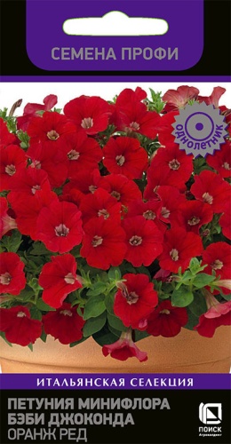 petunia_miniflora_baby_joconda_orange_red