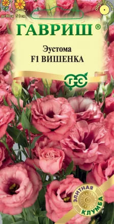Эустома Вишенка