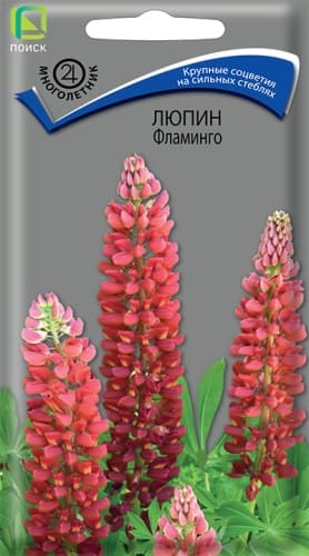 lupin_flamingo (1)