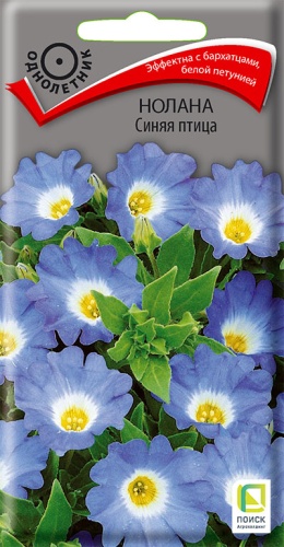 nolana_sinyaya_ptitsa nolana_sinyaya_ptitsa