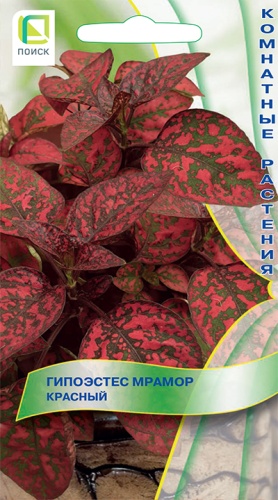 gipoestes_mramor_krasnyy