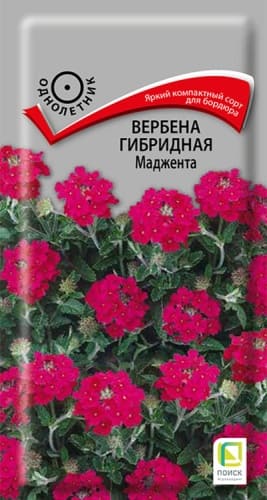 verbena_girbrid_mandzhenta (1)