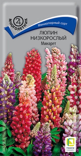 lupin_nizkorosly_minaret