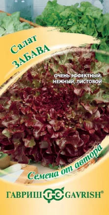 Забава