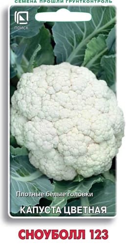 kapusta_cvet_snowball_123 (1)