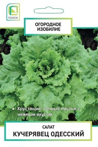 salat_kucheryavec_odessky_og_izob_nd (1)