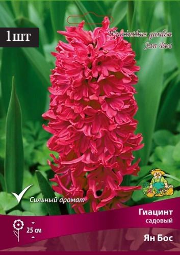 image (6)