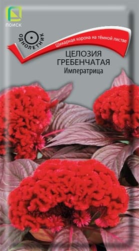 cellozia_greben_imperatrica (1)