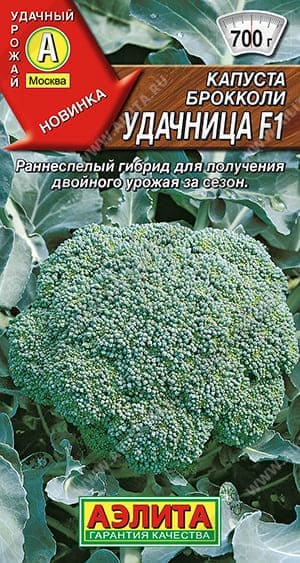 удачница (1) (1) (1)