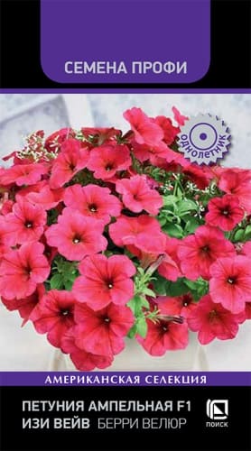 petunia_ampel_f1_easy_wave_barry_velur (1)