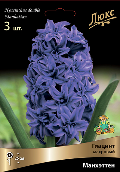 giacint_mahrov_manhettan_kaper