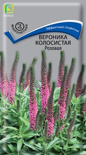 veronika_kolosist_rozovaya (1)