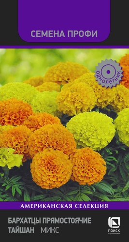 barhatsy_pryamost_taishan_mix