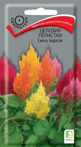 cellozia_peristaya_smes_okrasok (1)