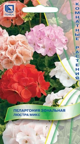 pelargonia_lustra_mix (1)