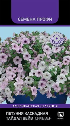 petunia_kaskadnaya_taidal_wave_silver (1)