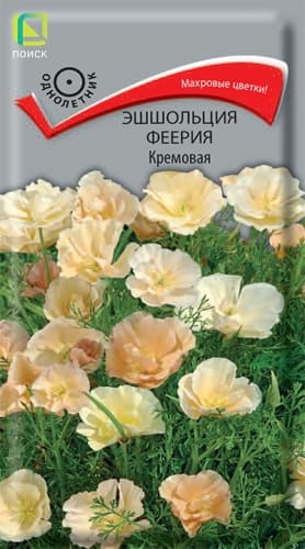 esholcia_feeria_kremovaya (1) (1)