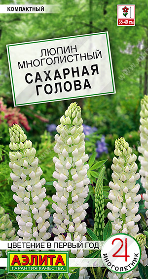 61d20ca1_5c8f_11eb_80f5_0cc47adb9c64_ff564c65_c765_11eb_80f7_0cc47adb9c64