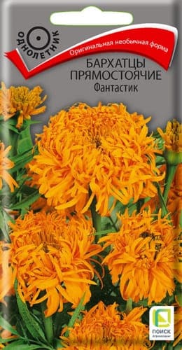 barhatsy_pryamost_fantastik (1) (1)