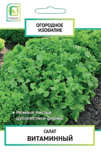 salat_vitaminny_og_izob_nd (1)