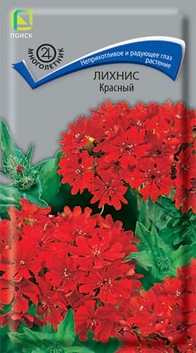 lihnis_krasny (1)