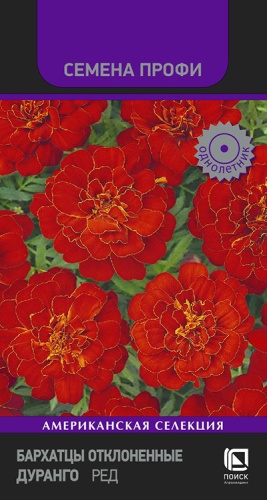 barhatsy_otklon_durango_red