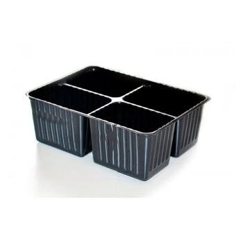 6c36w2xlsy88gikjbeu232qz90b96r3f