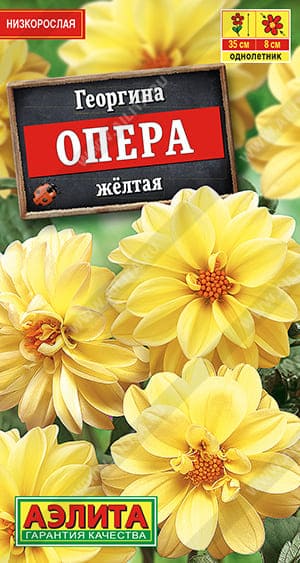 ож (1) (1)